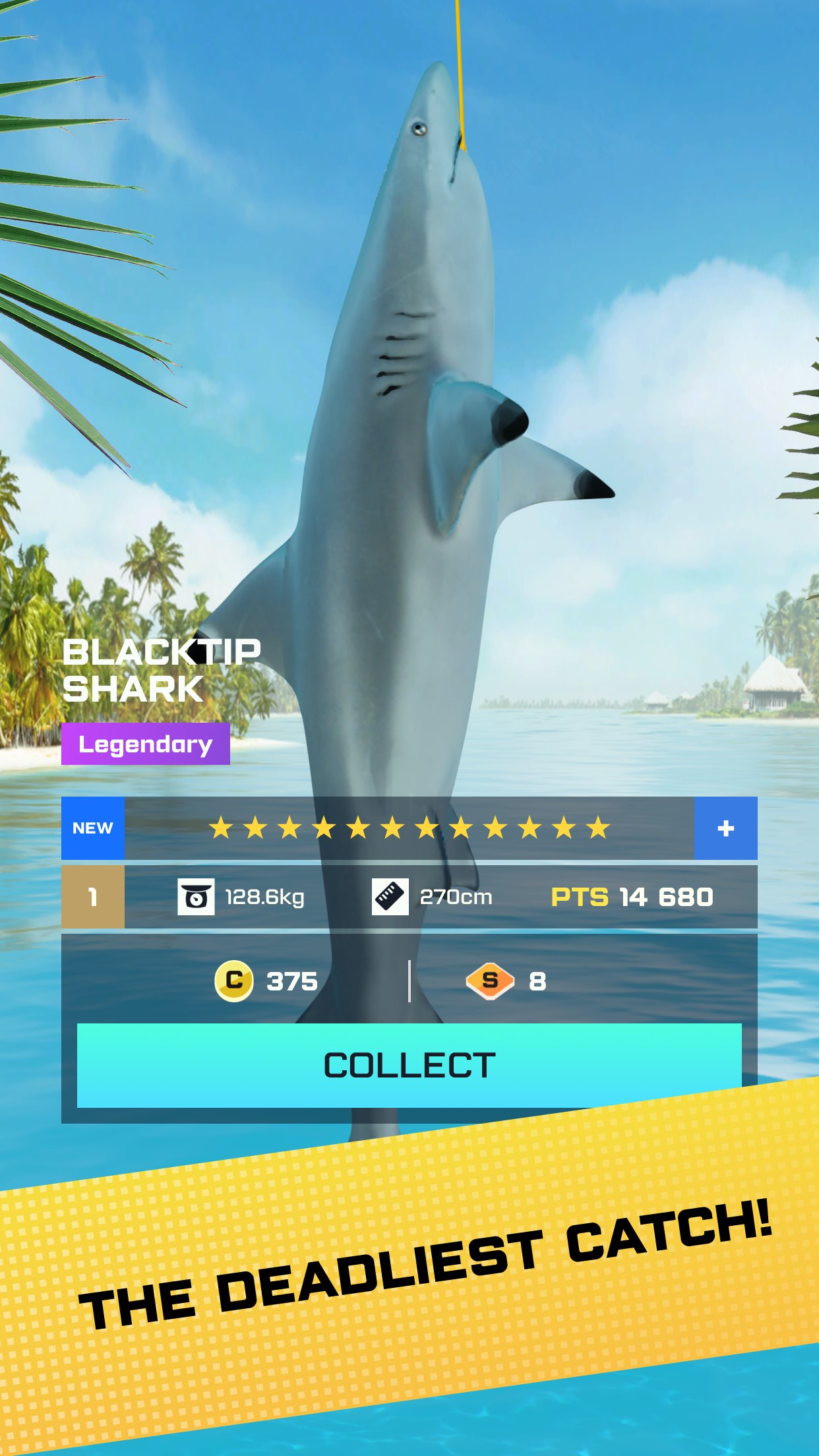 Fishing Tour store still